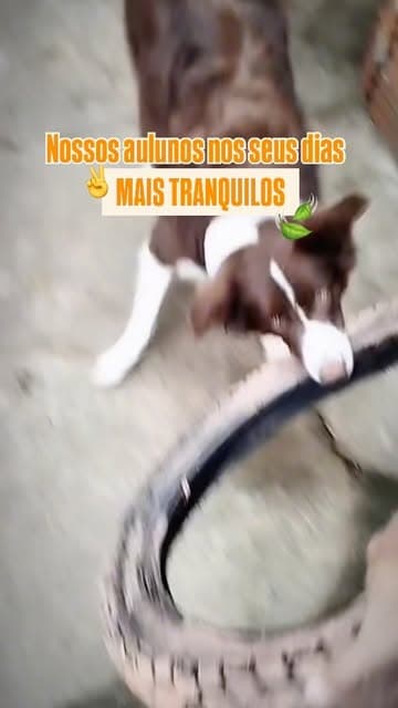 Publicação do Hotel Aumigo no Instagram